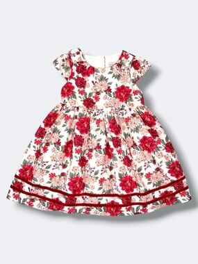 Catherine Malandrino Dress Girls 5 Ivory Floral Velvet Holiday Lined Cap Sleeve